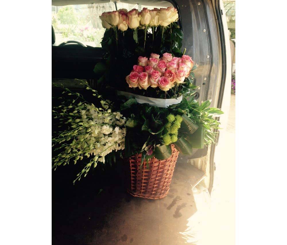 St Elie Flowers lebanon,Florists in lebanon, lebanon florists, flowers in lebanon, lebanon flowers, flower shops in lebanon, lebanon flower shops, send flowers in lebanon, wedding flowers in lebanon, lebanon wedding flowers, wedding bouquets in lebanon, bridal bouquets in lebanon, brdie bouquet in lebanon, roses in lebanon, tulips in lebanon, flower arrangements in lebanon, baby flower arrangement in lebanon, new born flower arrangements in lebanon, flower gifts in lebanon, birthday flower arrangement in lebanon, valantines roses in lebanon, valentines flower arrangements in lebanon, valentine gifts in lebanon, flower shop in lebanon,plants nursery in lebanon, landscaping in lebanon, Nursry plants, flowers, landscaping, wedding flowers, bouquets for all occasions, valentines roses, mothers day roses, newly born baby flowers, plants in pots, plants for the garden, money tree, bonsai tree
